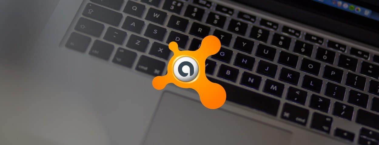 add an exception in avast