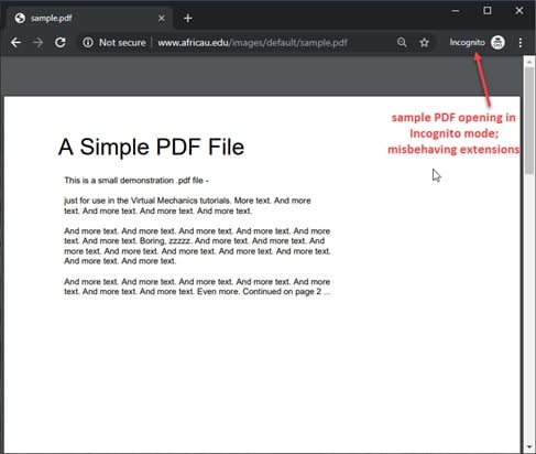 sample_pdf_in_incognito