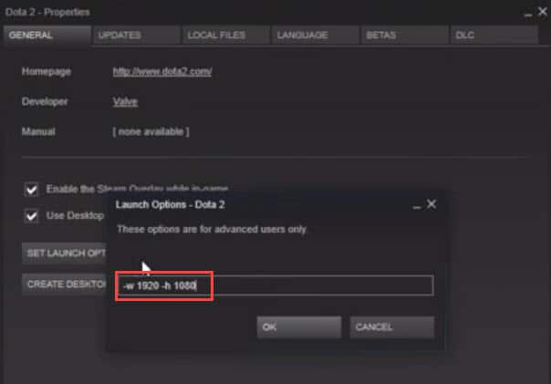 steam run as administrator launch option