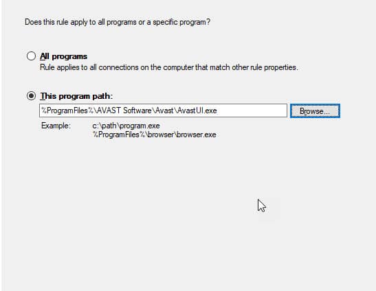 program_path