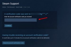 steam verify login information error