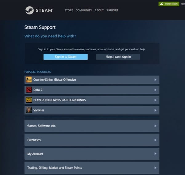 Steam Support 