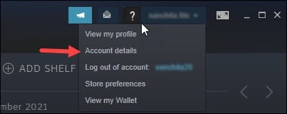 steam_accounts_details_option