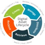 digital-asset-lifecycle