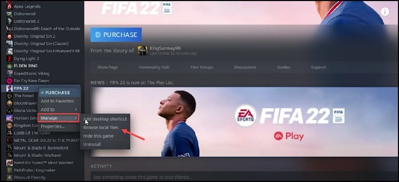 fifa-manage-browse-local-files