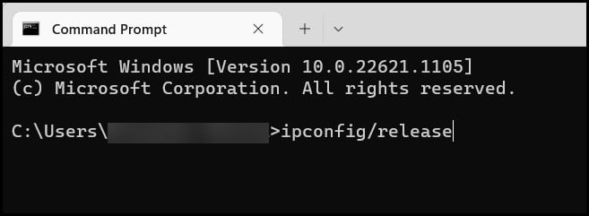 ipconfig-release