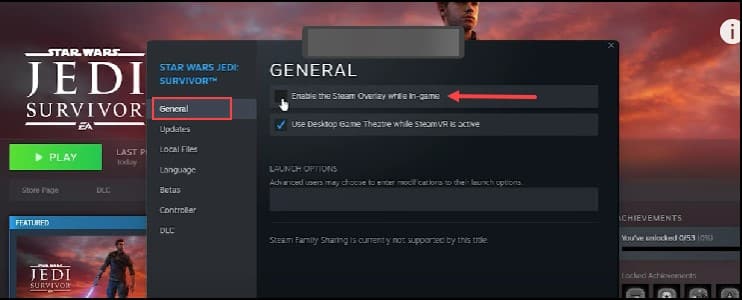 enable-steam-overlay