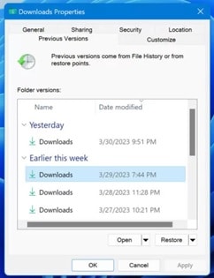 recover deleted data using a previous version