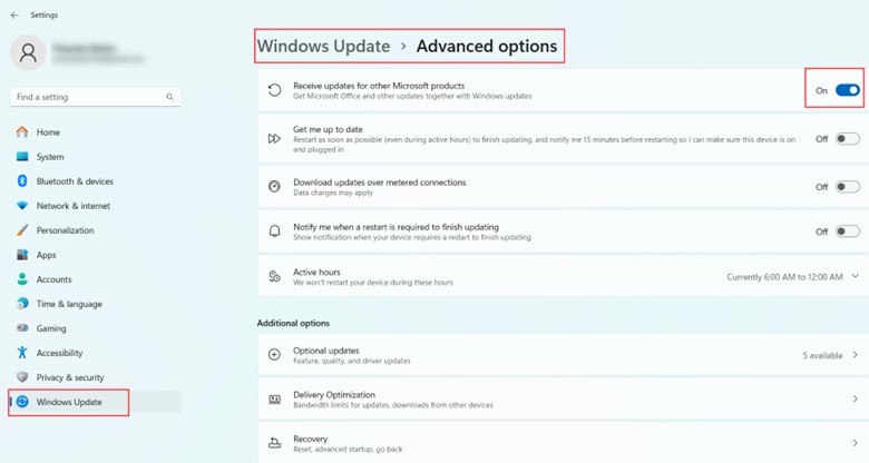 windows-update-advance-option