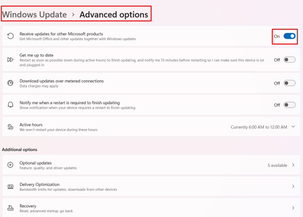 windows-update-advance-option