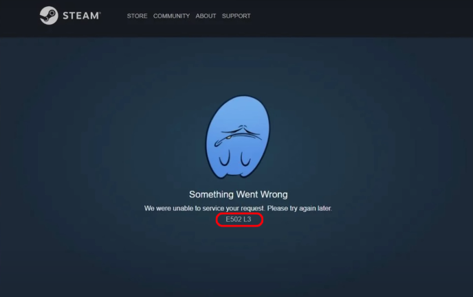 steam-error-E502 L3
