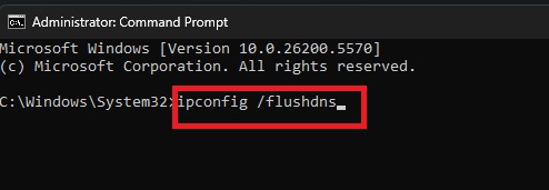 flush-dns